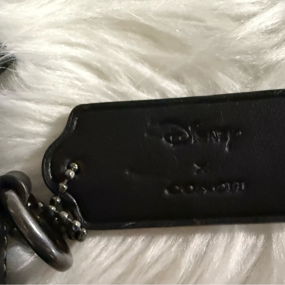 Coach Disney Villians Crossbody Gently Used - Picture 4 of 4